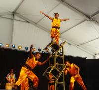 African Acrobats